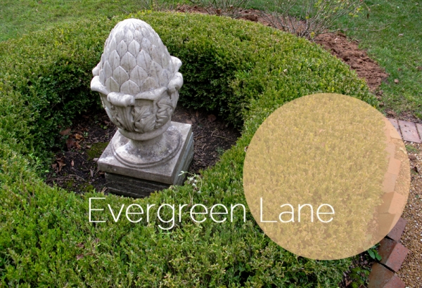 evergreen_title