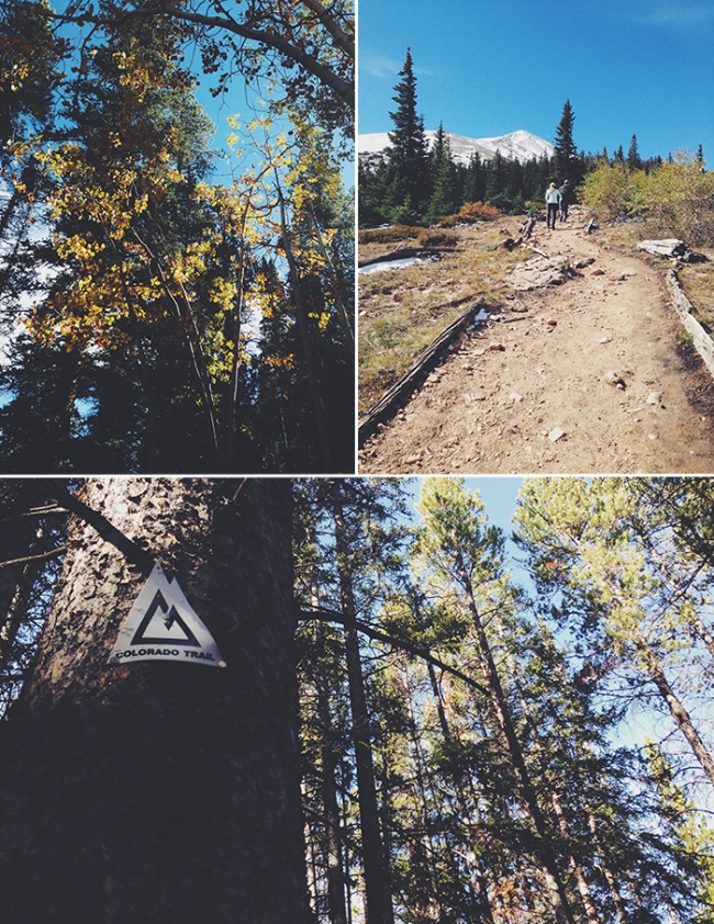 mtelbertcollage1