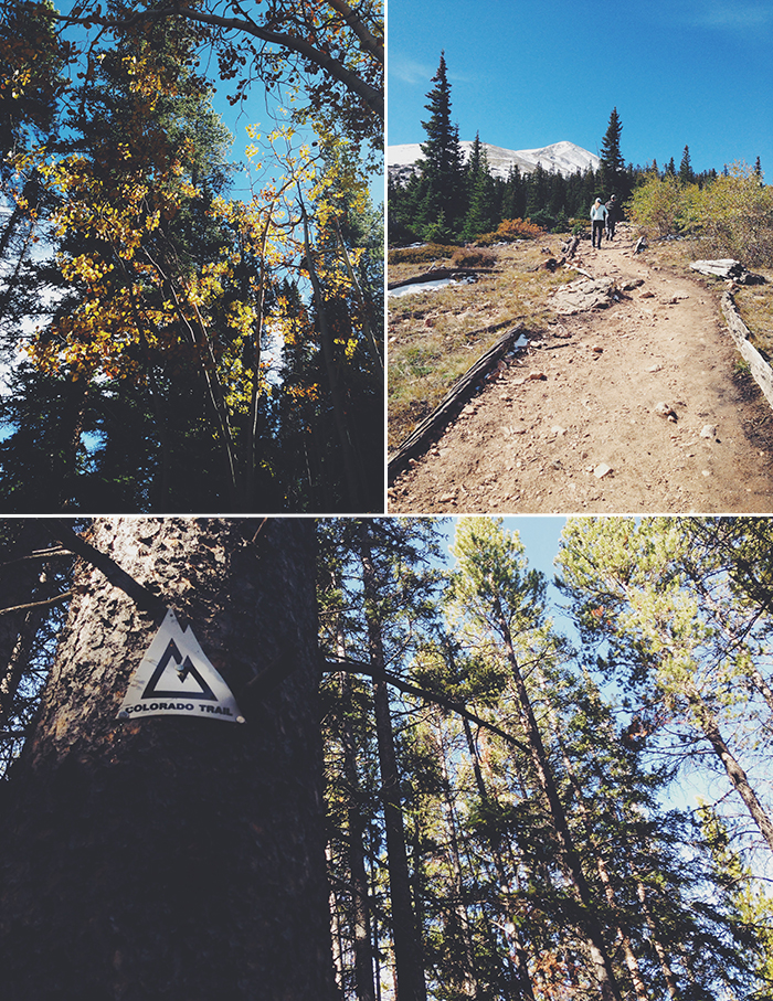 mtelbertcollage1