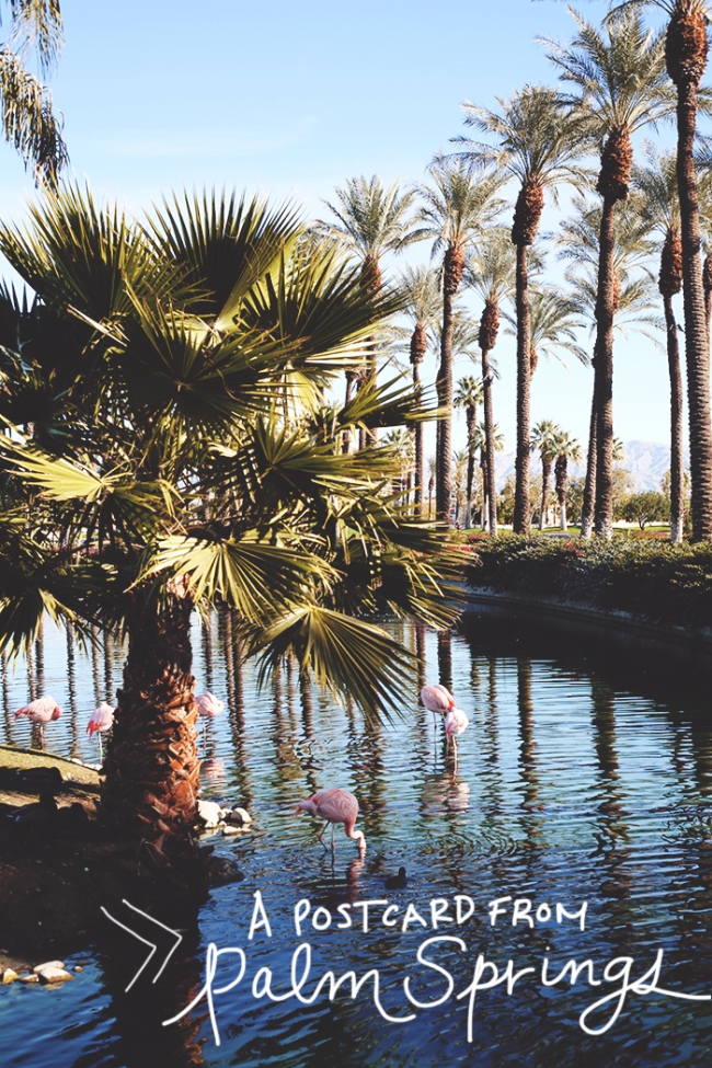 A Postcard from Palm Springs Title_Mintz