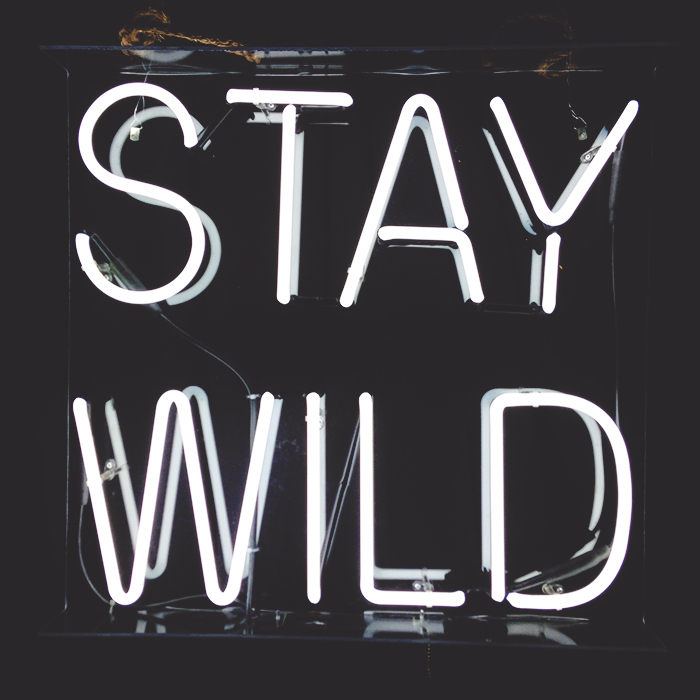 ALT Stay Wild_Mintz