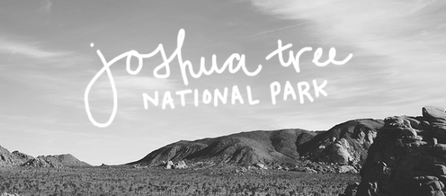 Joshua Tree Title_Mintz