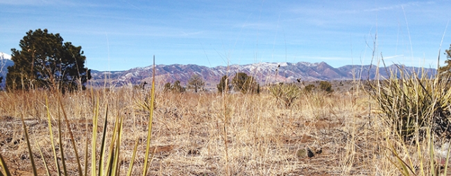 Palmer Park Panorama_Mintz