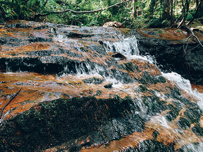 Upper Maxwell Falls resize_Mintz-7