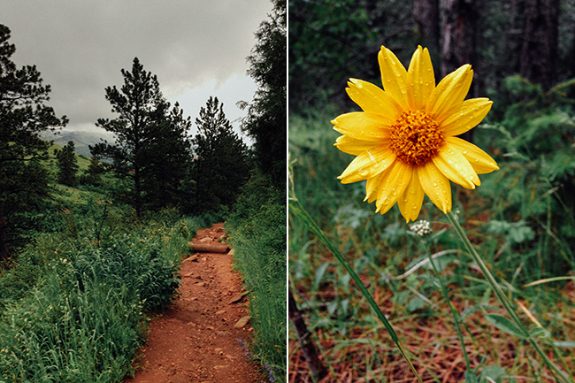 boulderhike_collage1_Needles