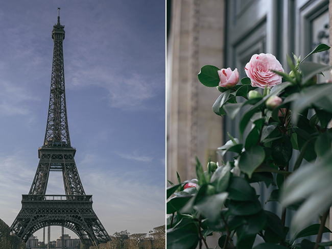 Paris collage_Effiel Tower_Needles