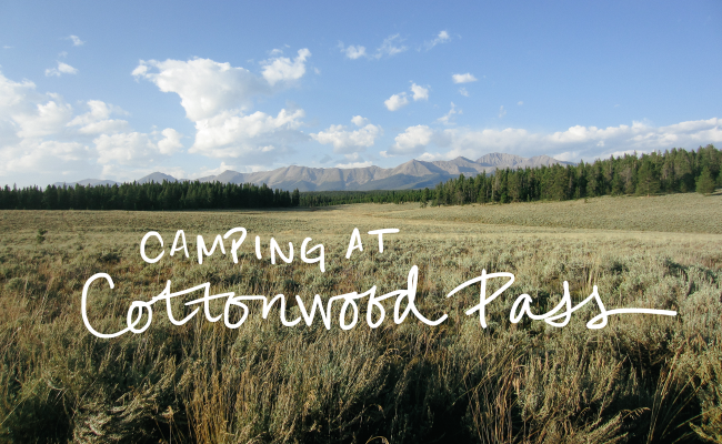 Cottonwood-Camping15_Needles-title
